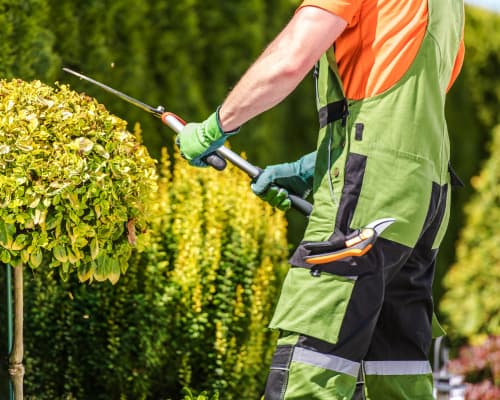 Landscaping Installation Houston, TX