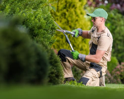 Lawn Care & Maintenance Houston, TX