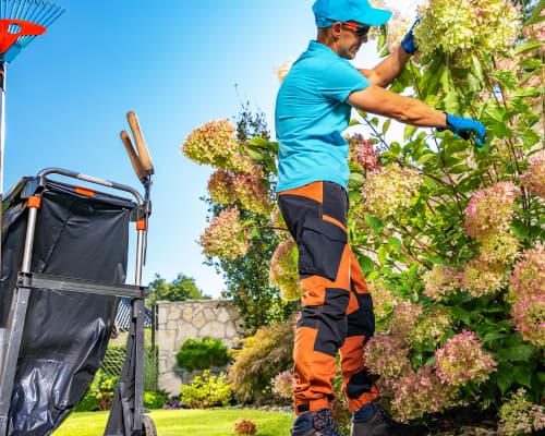 Lawn Mowing & Trimming Houston, TX