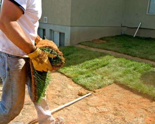 Irrigation Services Houston, TX
