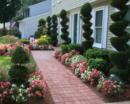 Landscaping Houston, TX