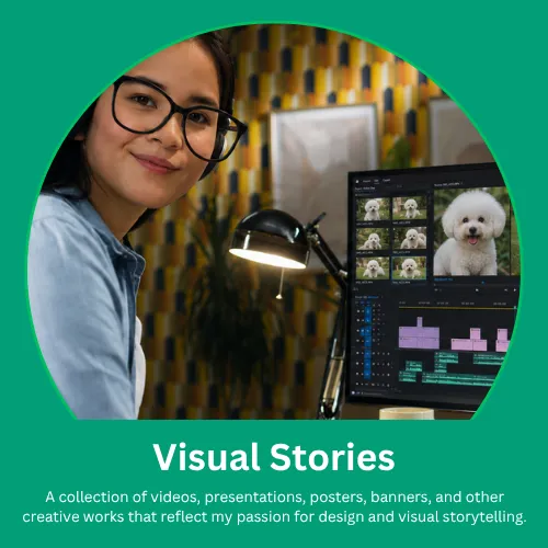 Visual Stories