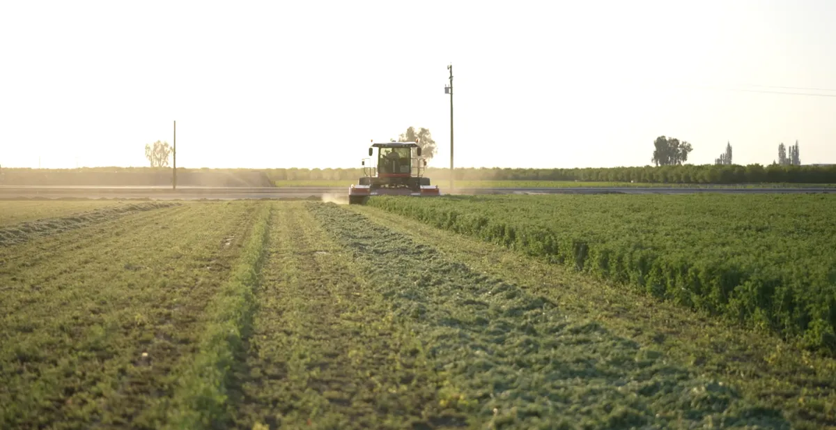 front loader on green grass