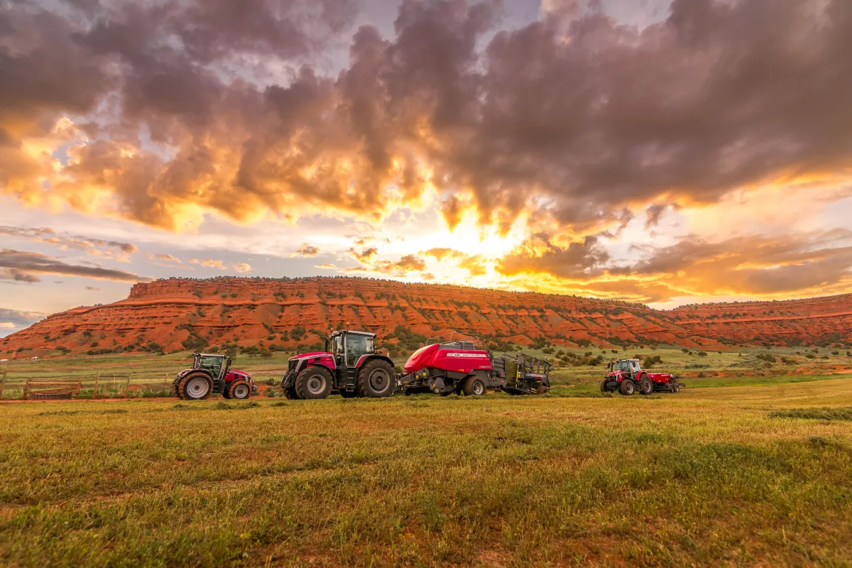 two trucks on plant field