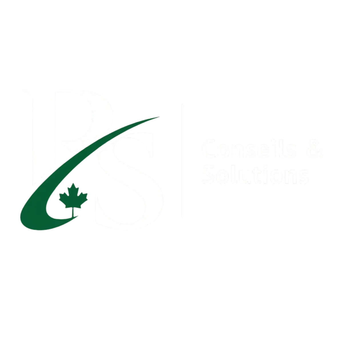 RS Conseils et Solutions