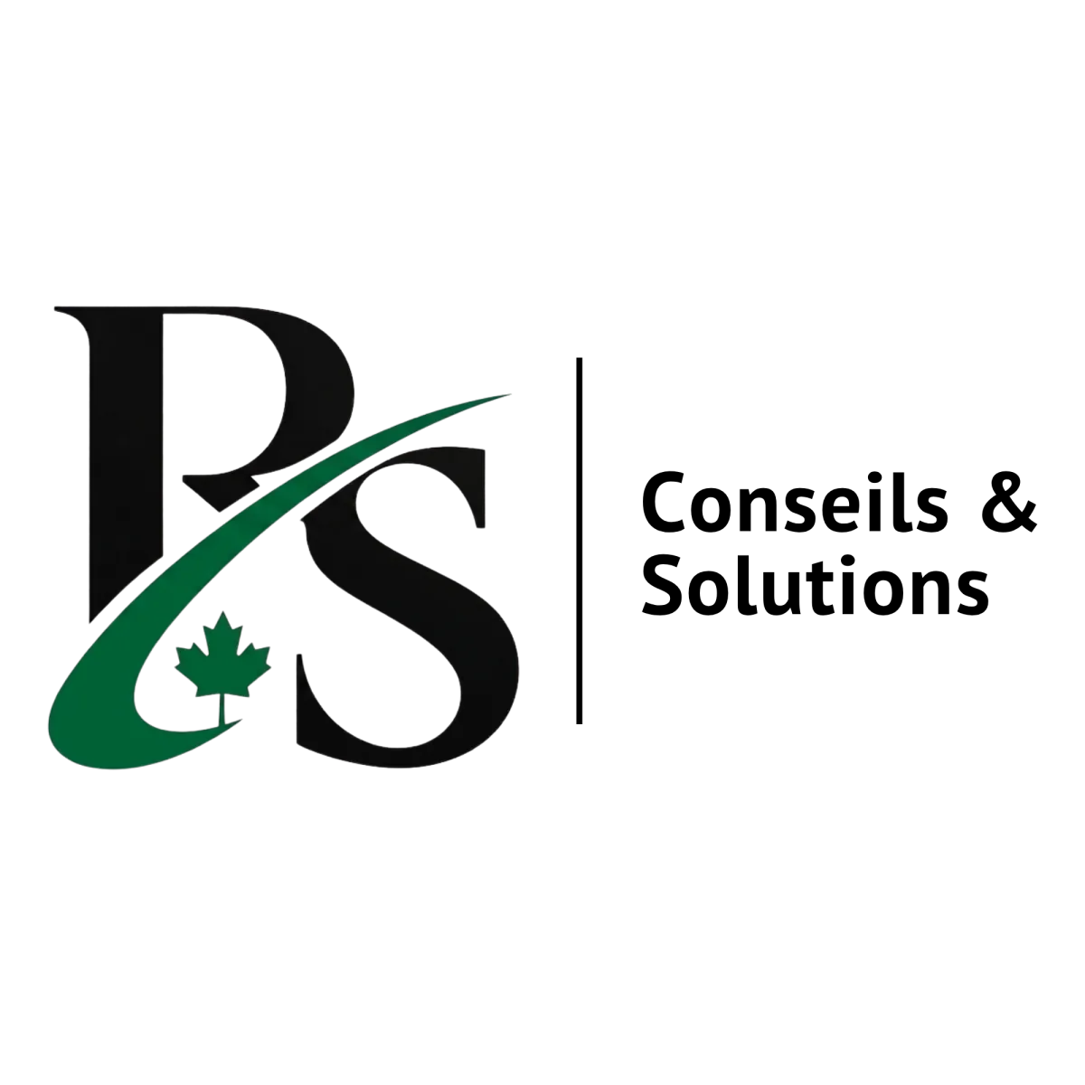 RS Conseils et Solutions