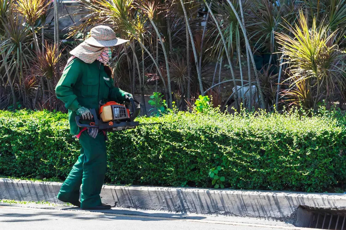 Garden Maintenance