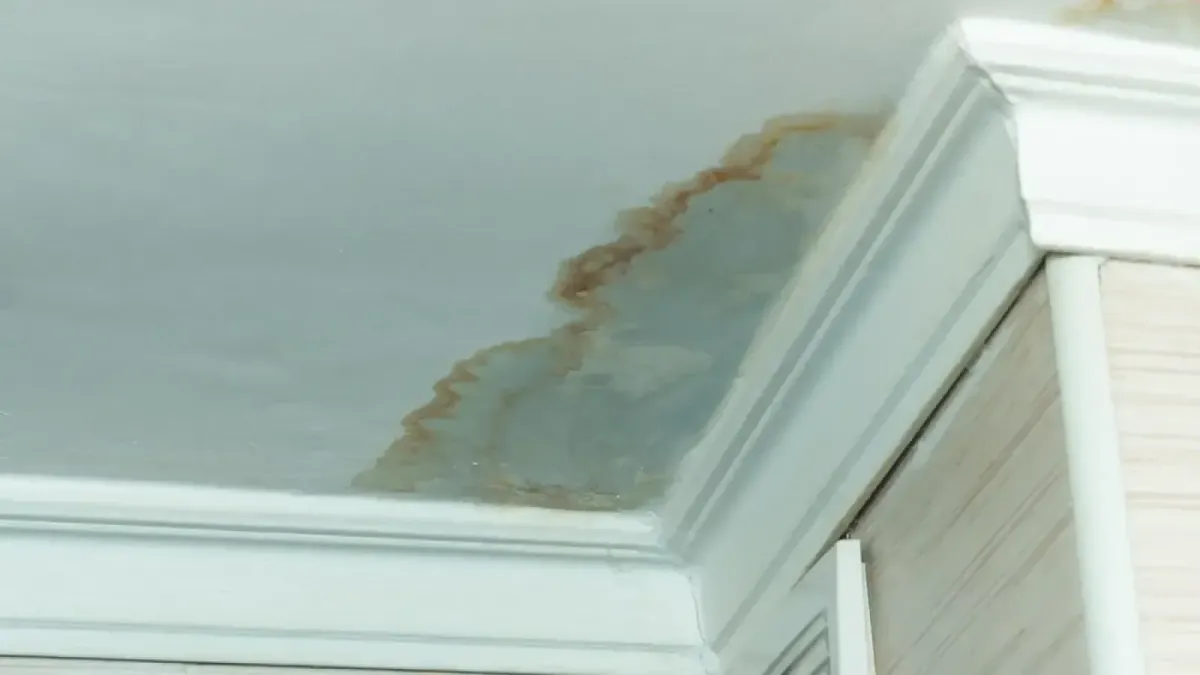 Picture of ceiling showing leak