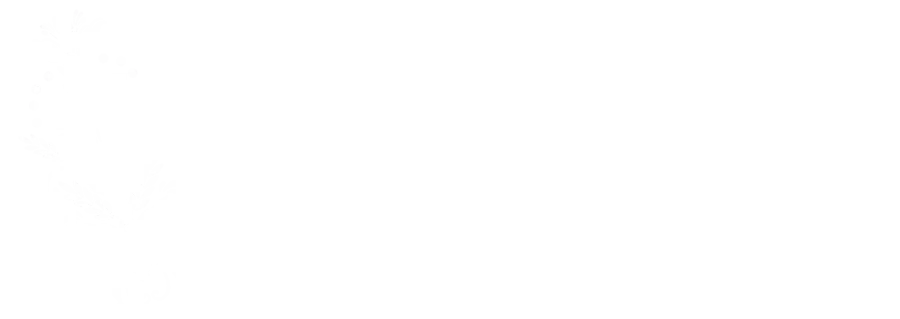 Virtuella Assistentkullan, Virtuell Assistent