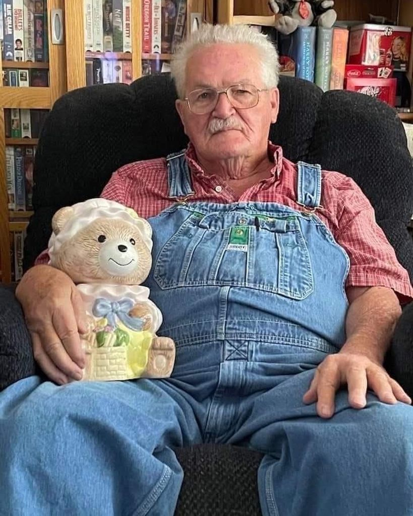 silhouette photo of trees during golden hour