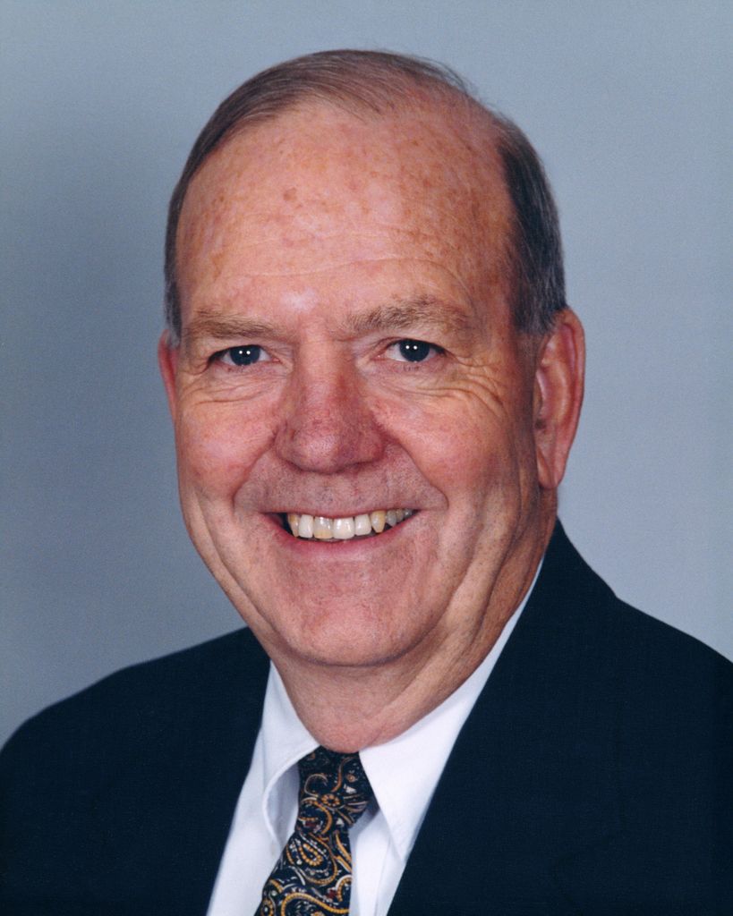silhouette photo of trees during golden hour