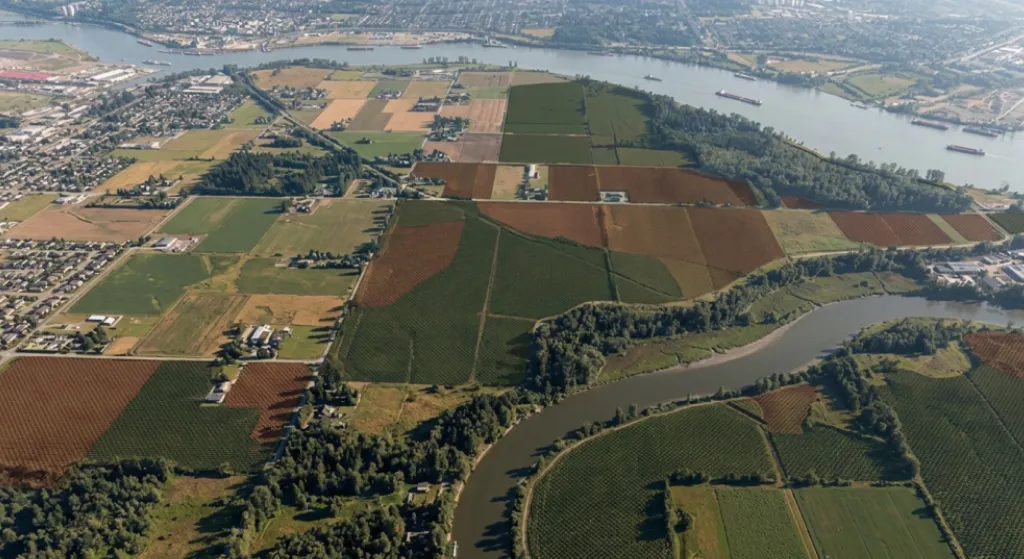 Cowichan Land Title Decision: One Year Later, Where Do Richmond Property Owners Stand?