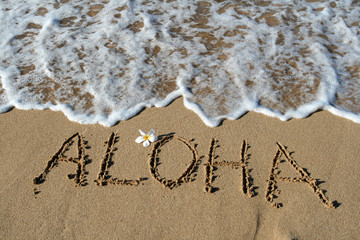 woman facing sea under gloomy sky