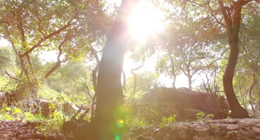 The God Who Stirs Hearts, Even My Children’s