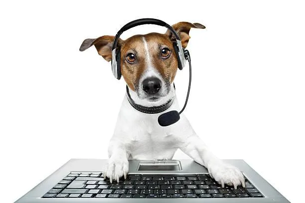 Online dog training program- Working Dog Depot online protection and obedience training