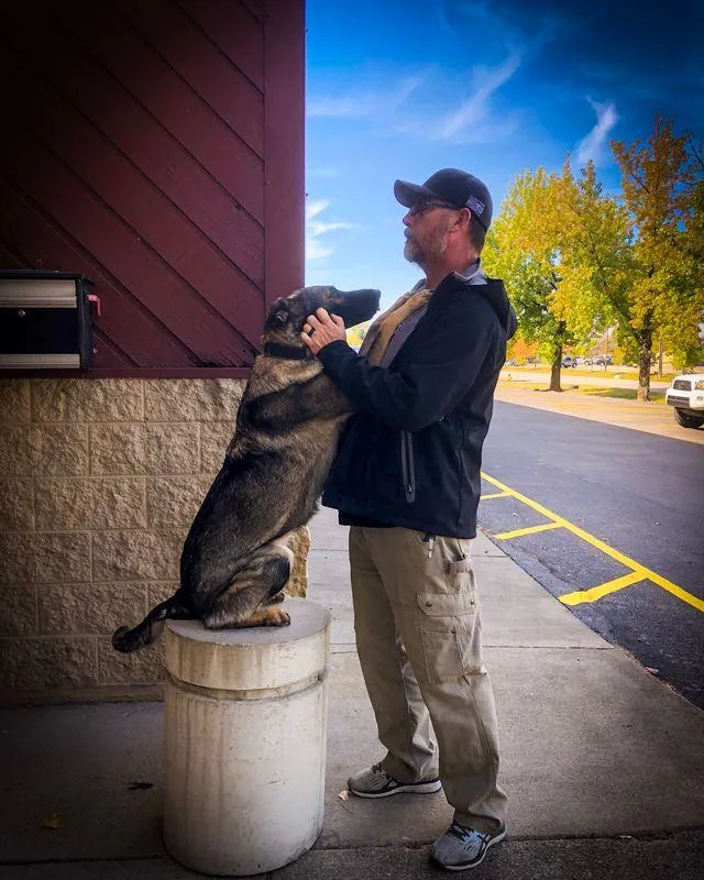 Professional dog training for protection, obedience and socialization at Working Dog Depot, Rich Hardin, Founder