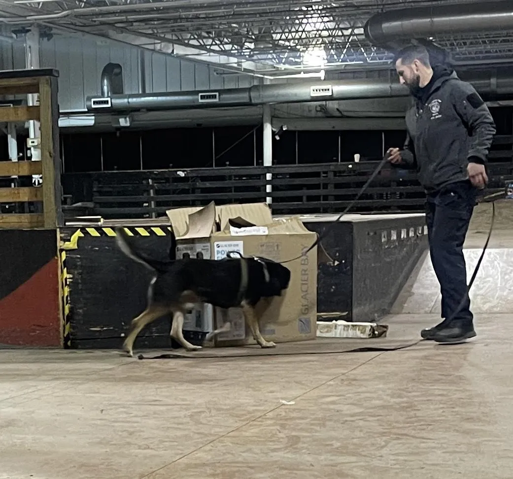 dog detection services, Louisville, KY