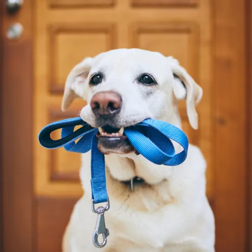 A man in his 40s sits at a cluttered desk, looking frustrated and overwhelmed by paperwork, with a cityscape visible through the window. 3:2 aspect ratio, realistic, muted tones.