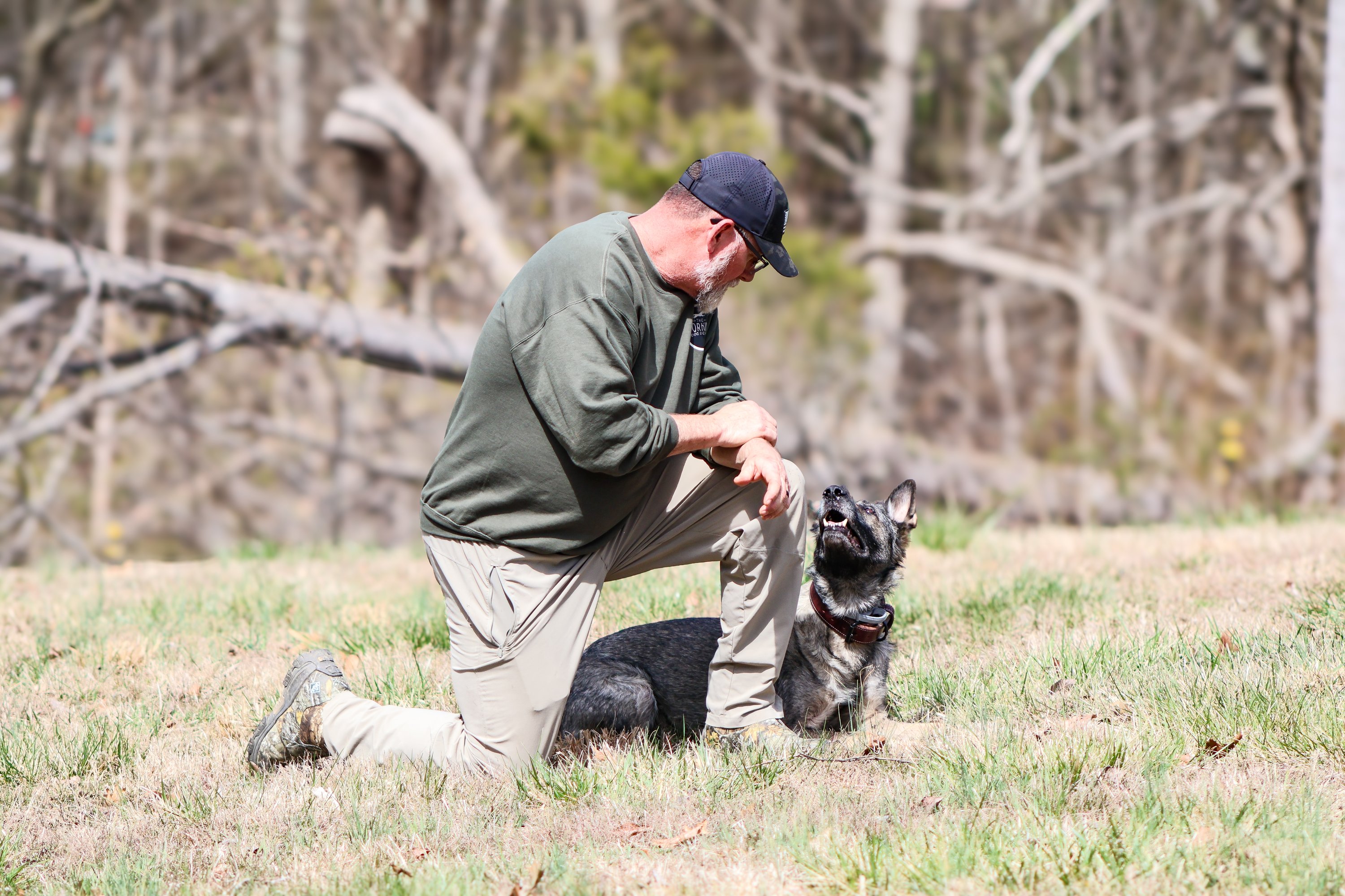 dog obedience training, puppy training near me, dog training