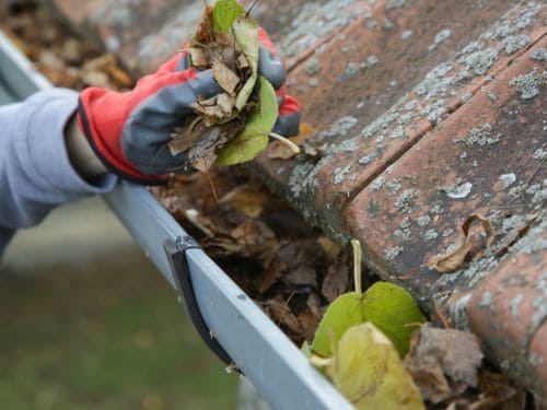  Gutter Cleaning