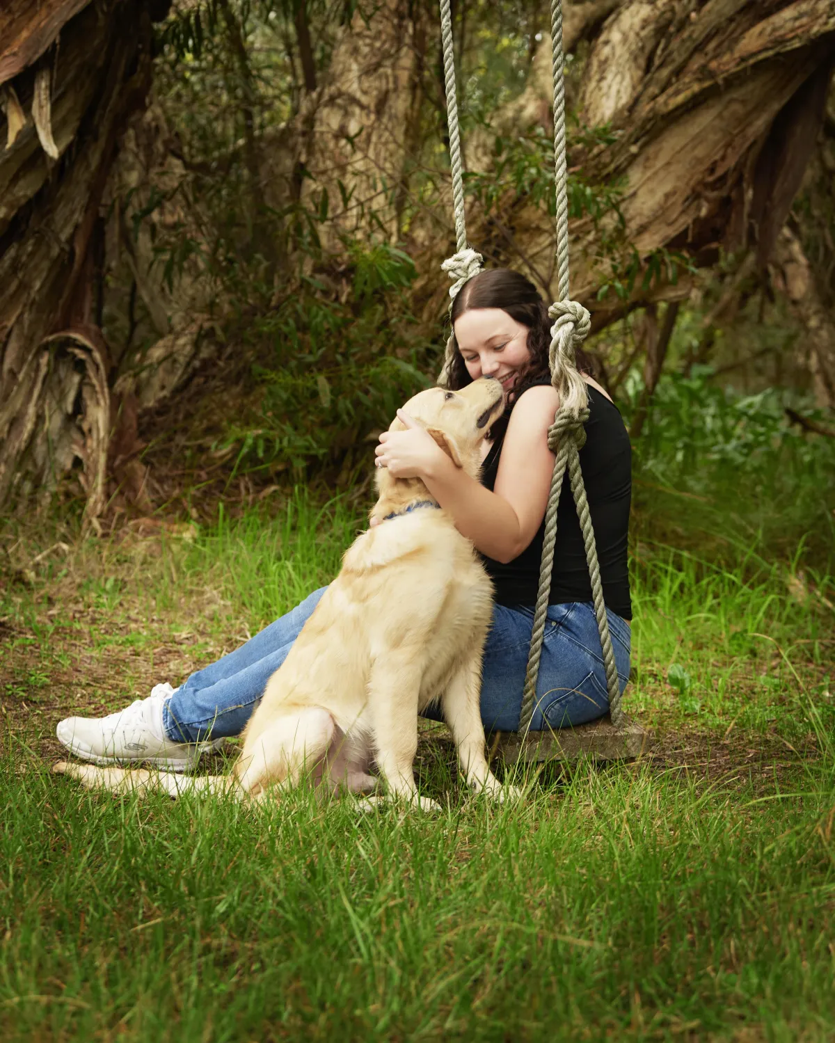 Happy dog being photographed at Four Paws Photography studio