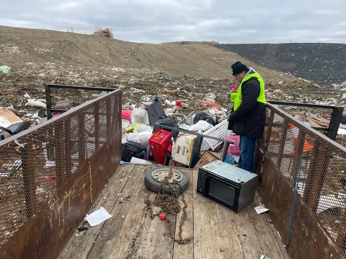 person holding green leaf plants