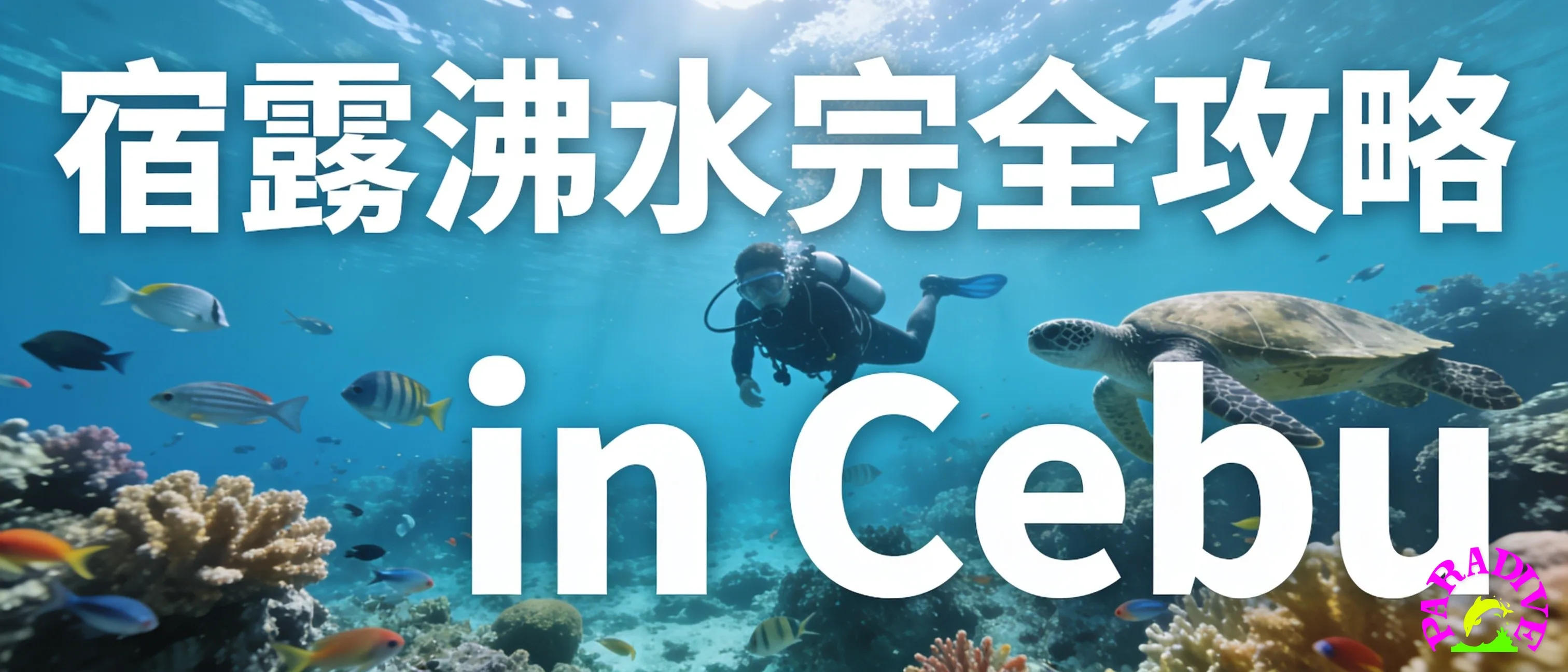 宿霧潛水完全攻略 in Cebu