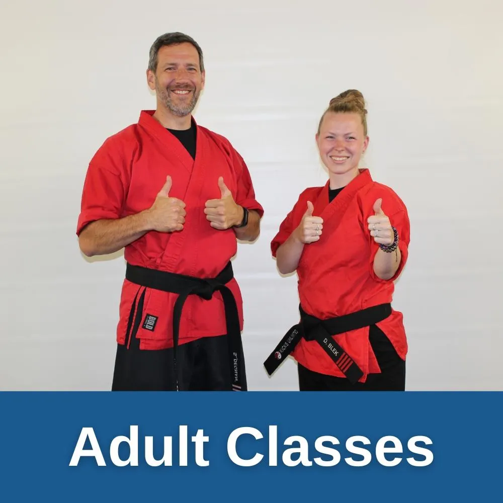 Martial Arts Classes For Adults in Sun Prairie!