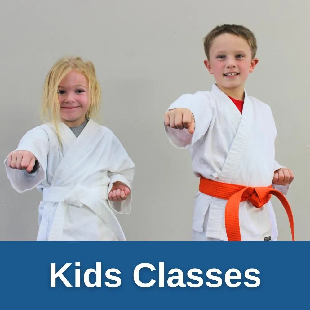 Children's Martial Arts Classes In Sun Prairie!