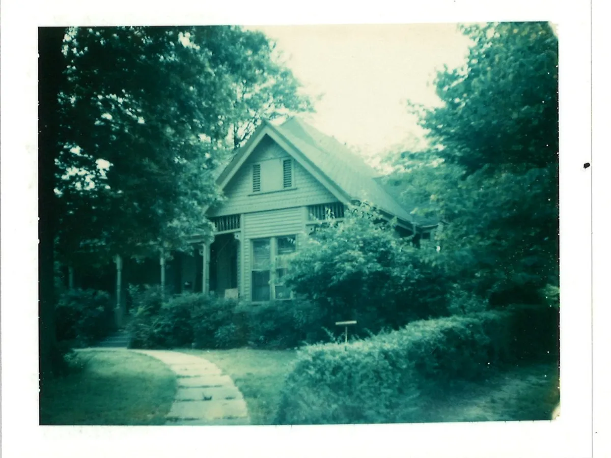 Vintage photo of the house behind tall trees