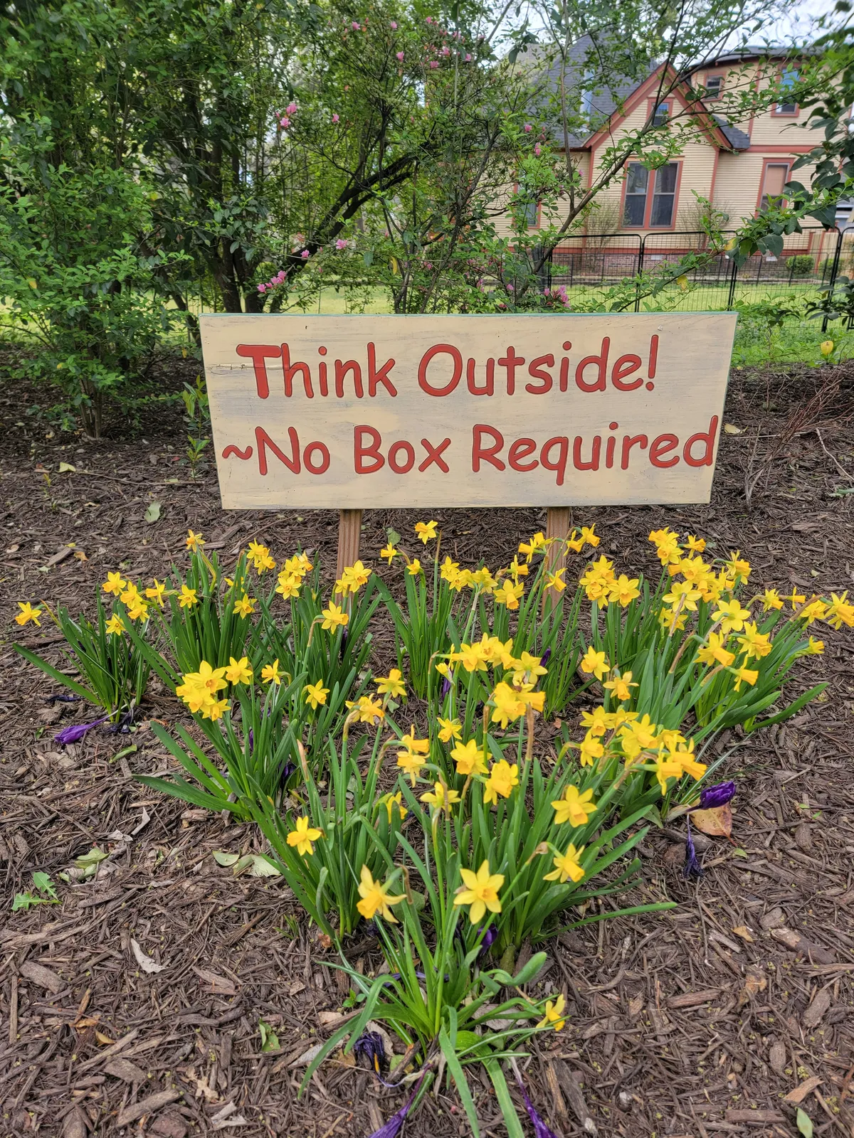 Hand-painted "Think Outside, No Box Required" sign among daffodils in the garden