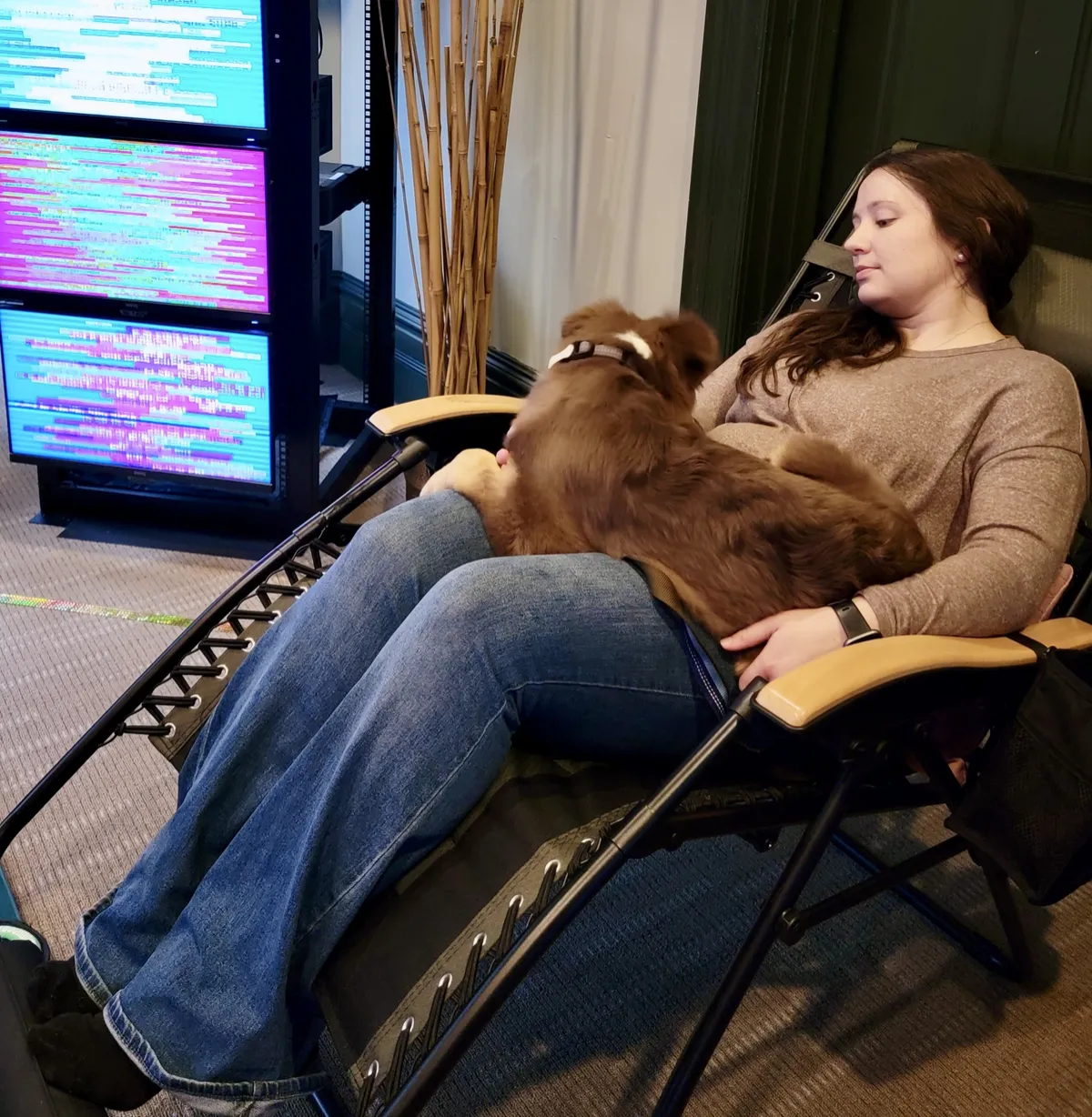 A woman relaxes in a reclining zero-gravity chair with a fluffy brown puppy on her lap during an EESystem session at Cumberland Crest House, the system’s glowing teal and magenta screens beside her.