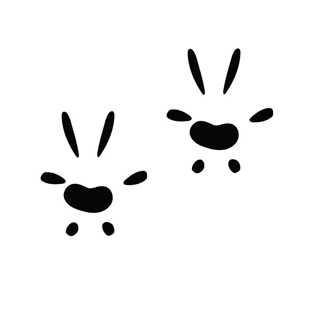 mice paws to represent network pest control humane trapping and removal process 