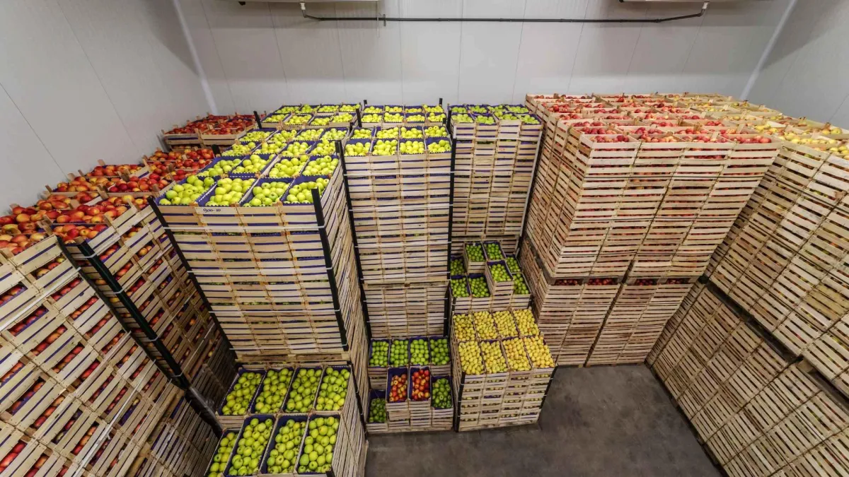 food industry business after network pest control commercial service
