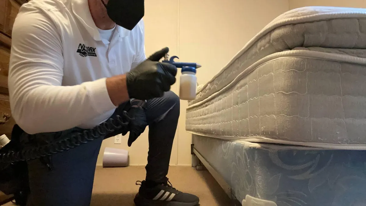caig broadhead our business owner treating a mattres for bed bugs on an airbnb to as part of our hospitality industry pest control service