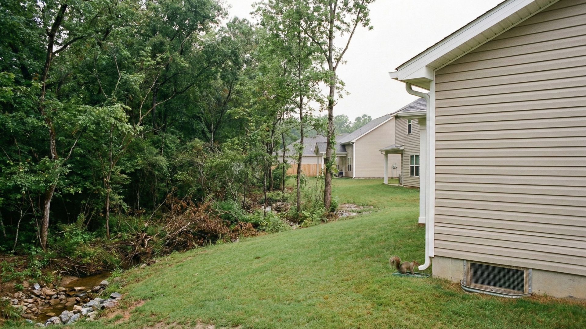 Squirrel near a crawl space vent on a vinyl siding home where a backyard meets the tree line in Cave Springs Arkansas