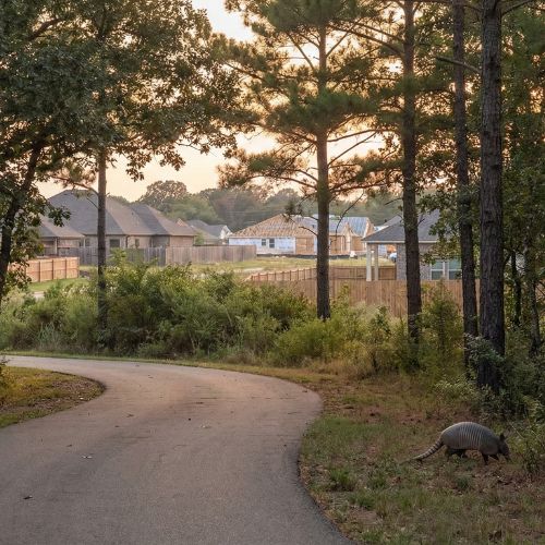 Wildlife near the Razorback Greenway trail corridor with residential neighborhoods on both sides in Lowell Arkansas