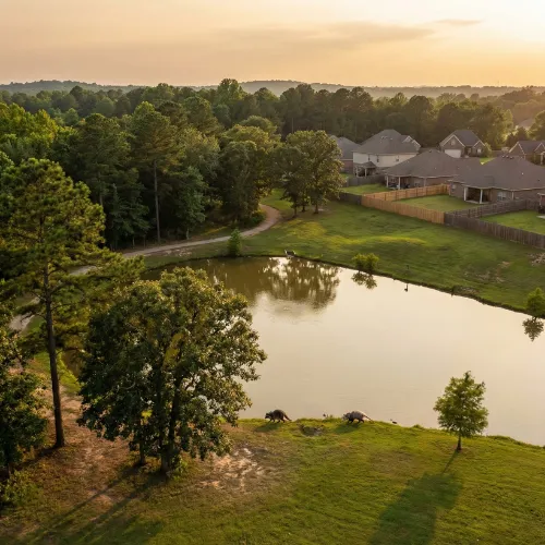 Wildlife near the fishing pond and wooded edges of Ward Nail Park with residential homes along the tree line in Lowell Arkansas