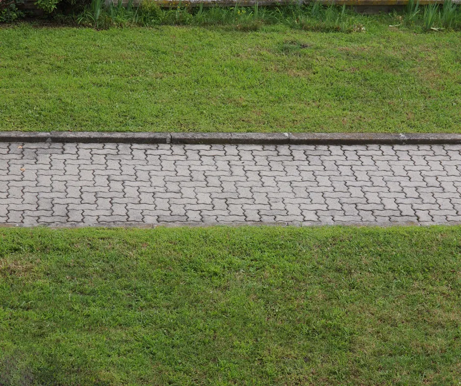 {{ custom_values.service_1 }} in {{custom_values.biz_area_1})