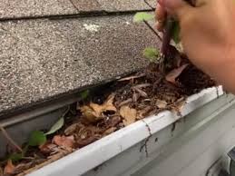 Denver Gutter Cleaning