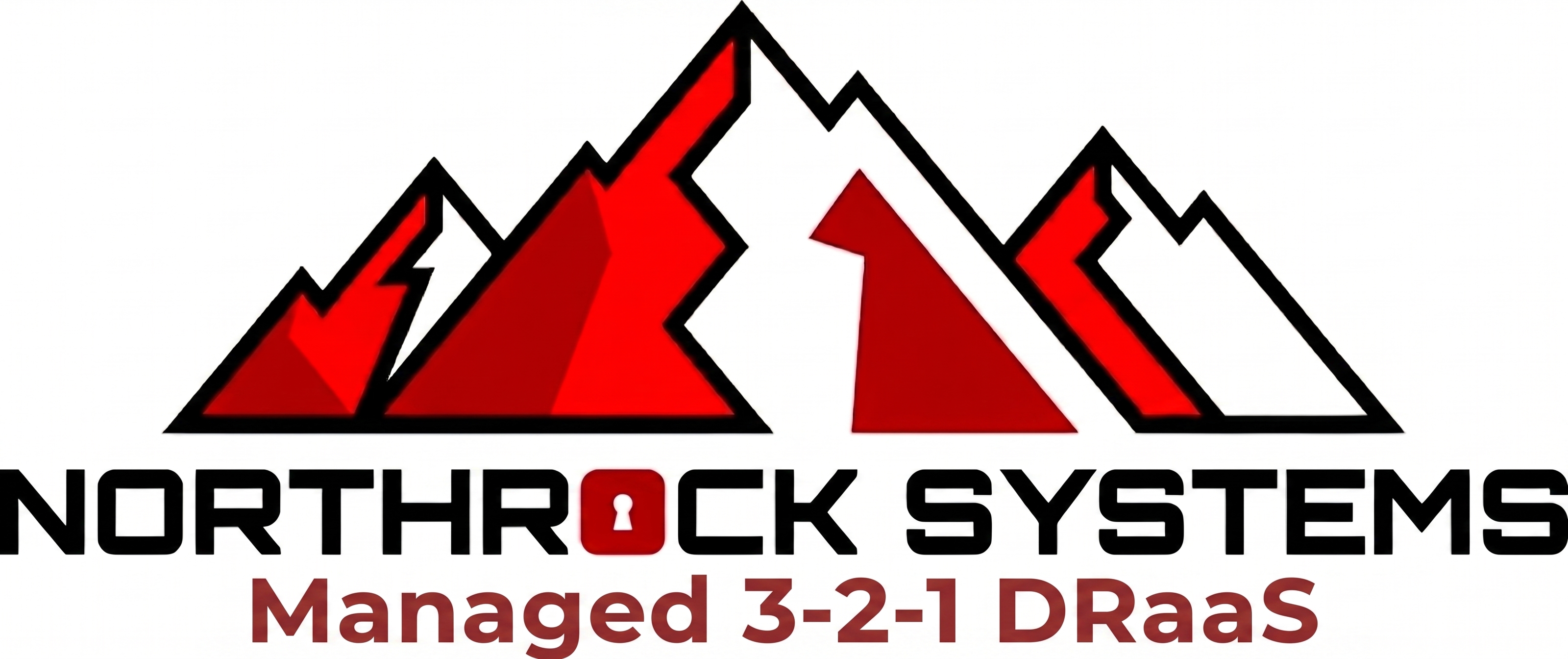 NS-Managed321DRaaS