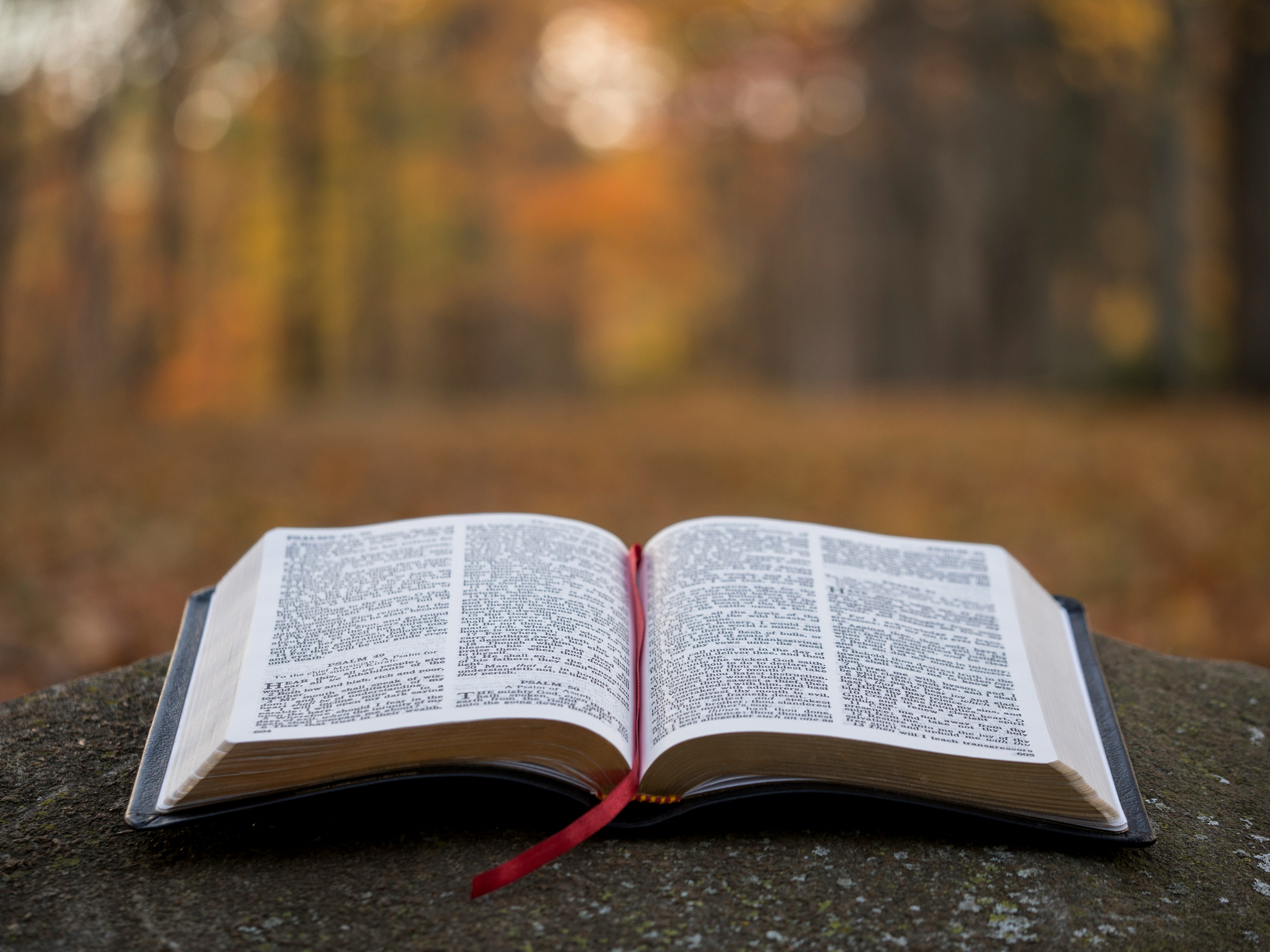 Tips to teaching children scripture memory