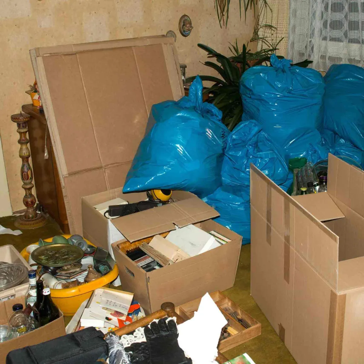 Teilräumung mit Müllsäcken und Kartons – punktuelle Entrümpelung einzelner Räume in Frankfurt mit Biduch rund ums Haus