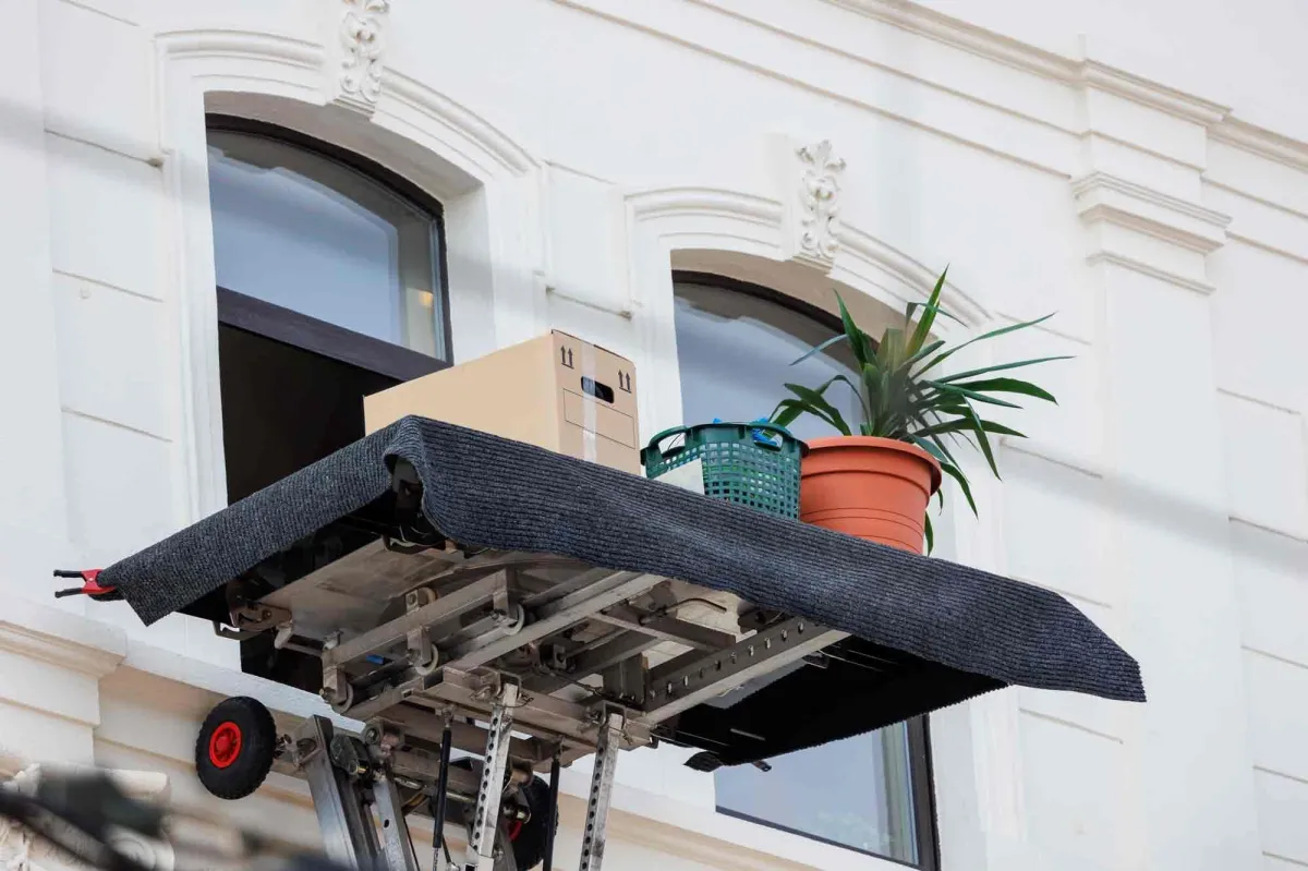 Biduch rund ums Haus in Frankfurt