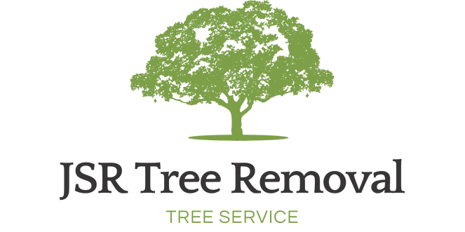 Tree Removal Texas