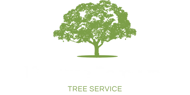 Tree Removal Texas