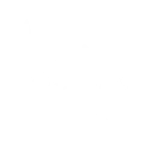 Vita-Jong