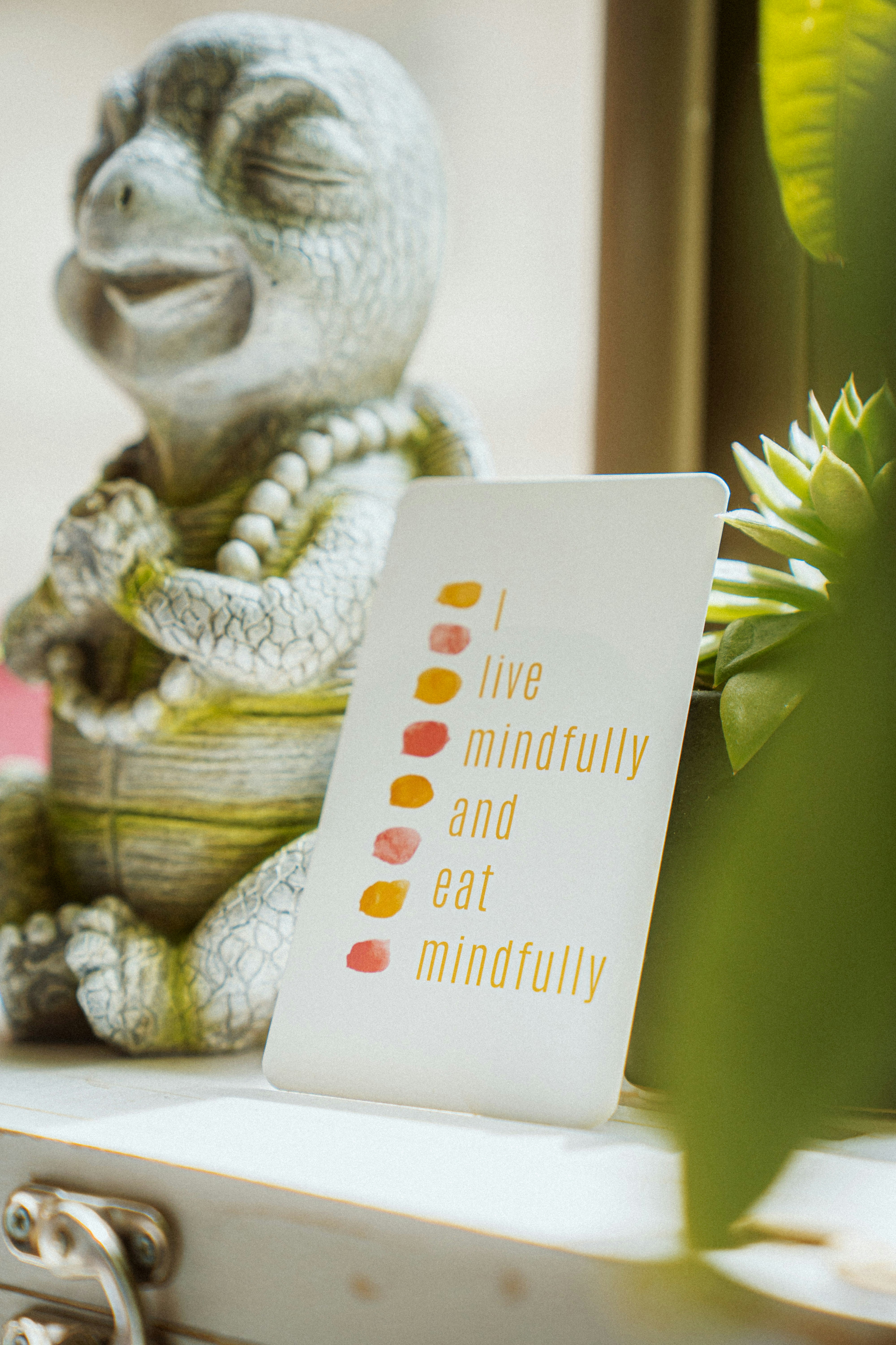 Mindful Living and Eating - Photo by Dushawn Jovic