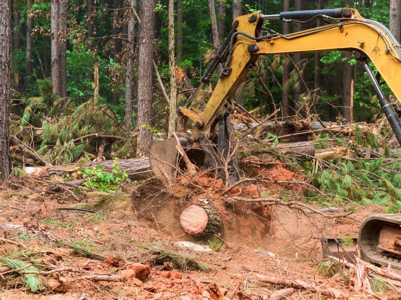 NW Supreme Construction Land Clearing