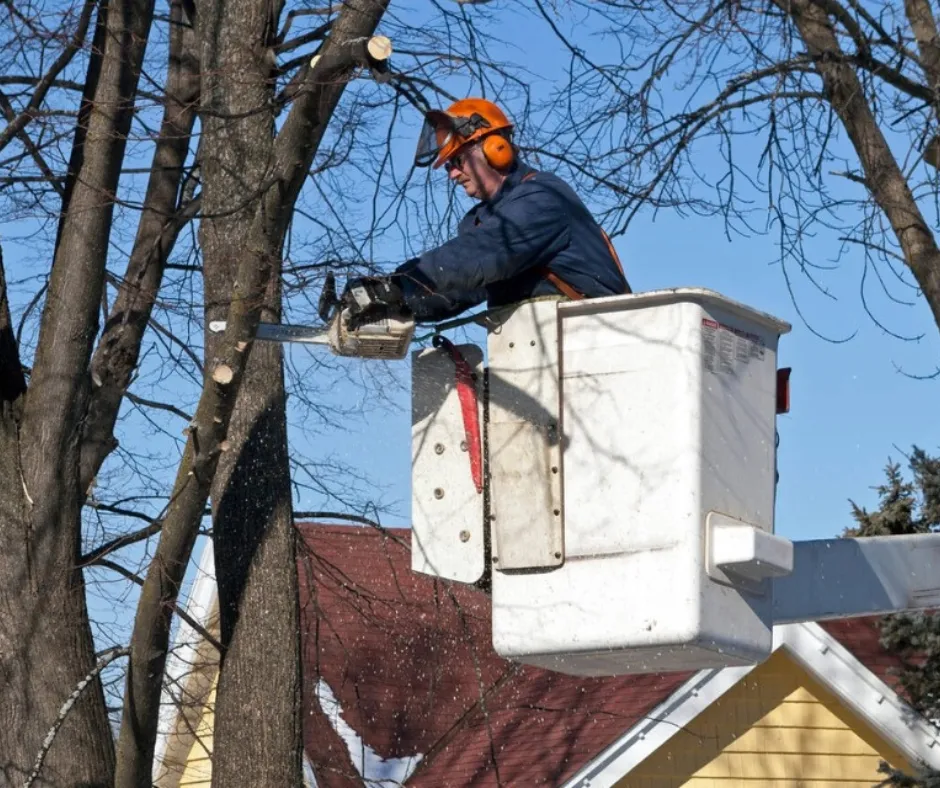 Prime Landscaping Inc. Home 1 Nanuet Landscaping Solution